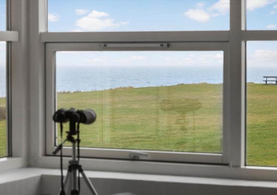 Image 29