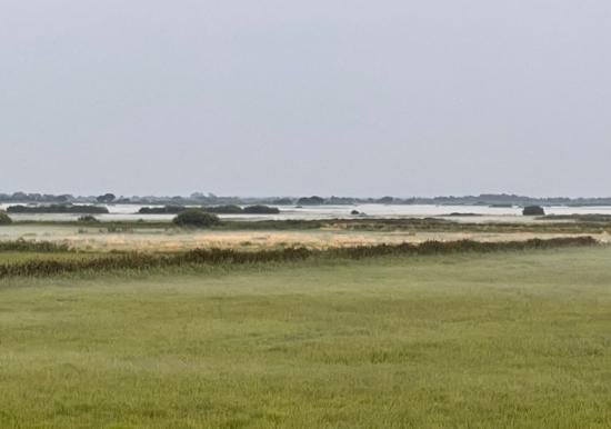 Image 42