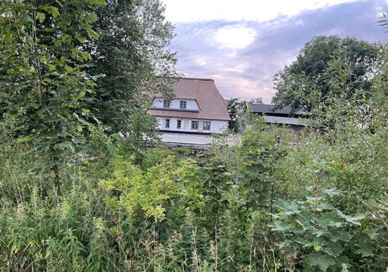 Image 60