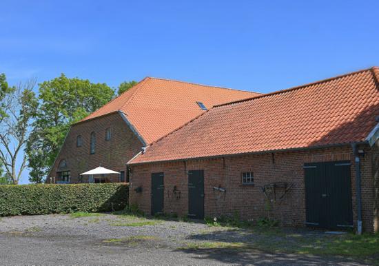 Image 13