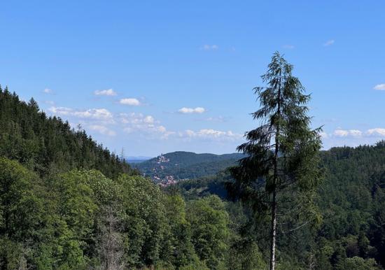 Image 33