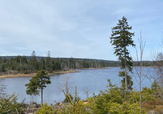 Image 63
