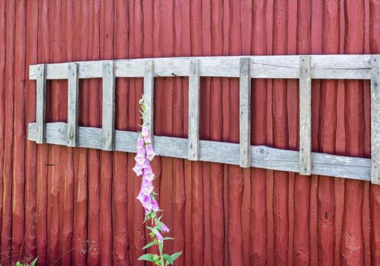 Image 22