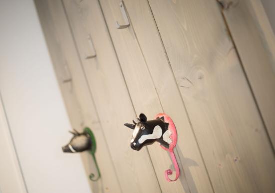 Image 29