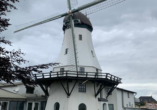 Image 19