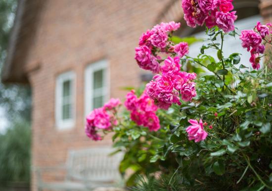 Image 58
