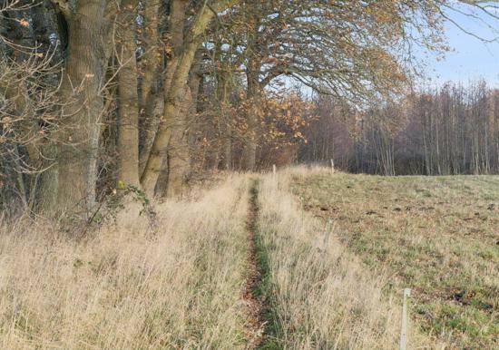 Image 25
