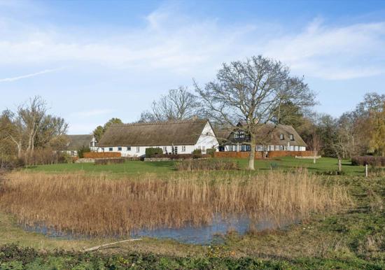 Image 31