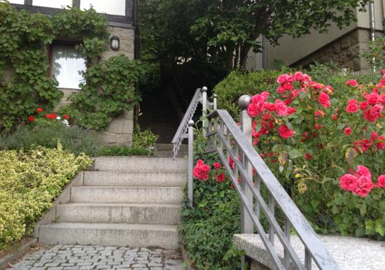 Image 15