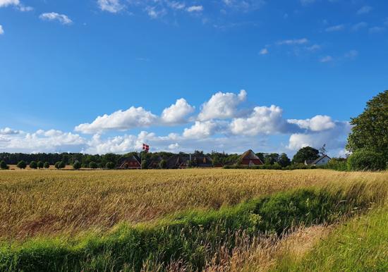 Image 22