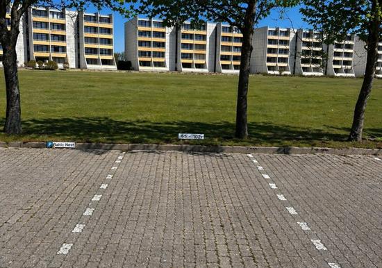 Image 25