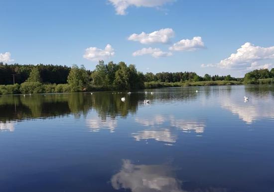 Image 13