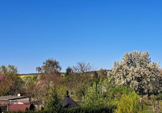 Image 27