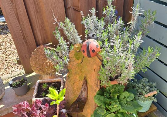 Image 34