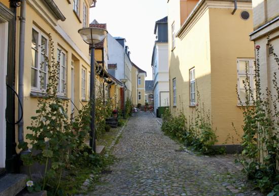 Image 22