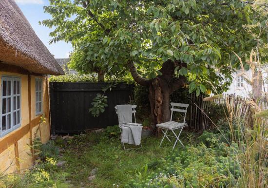 Image 23