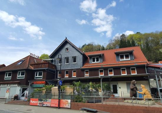 Image 11