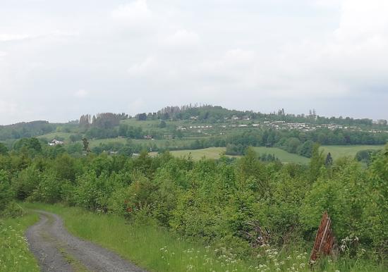 Image 15