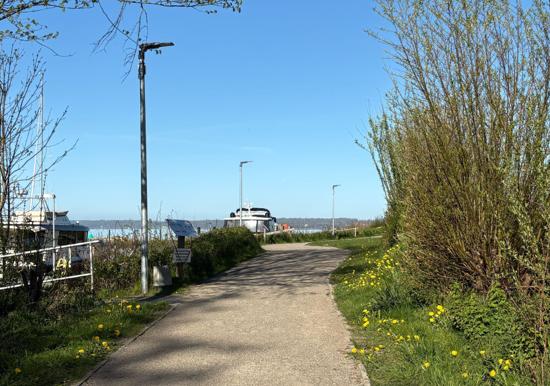Image 19