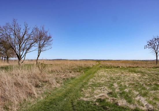 Image 16