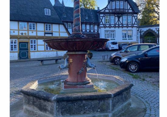 Image 21
