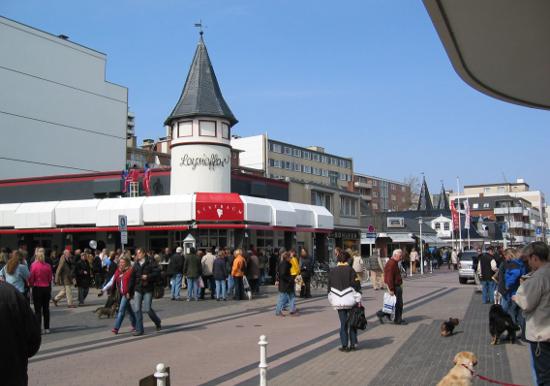 Image 12