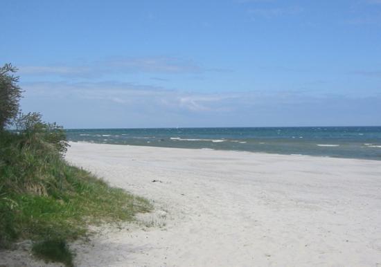 Image 34