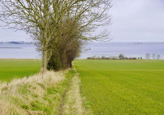 Image 17