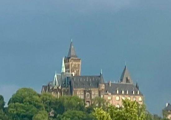 Image 15