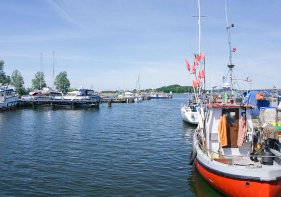 Image 31