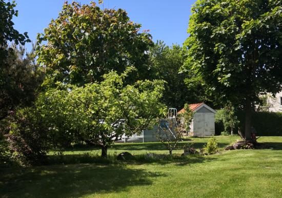 Image 34