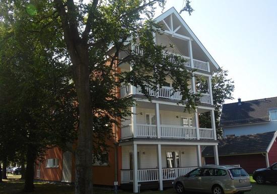 Image 8