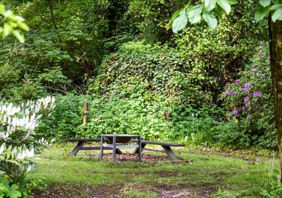 Image 26