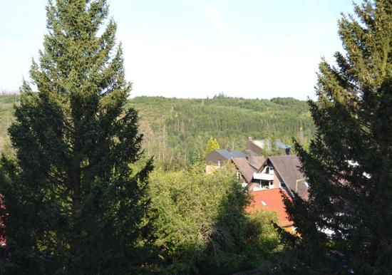 Image 15