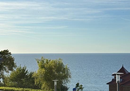 Image 15