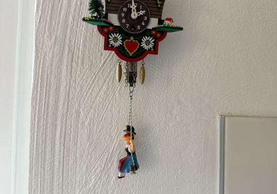 Image 5
