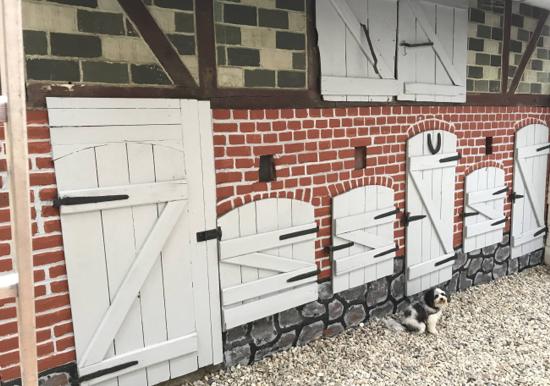 Image 19