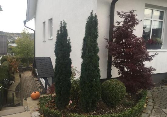 Image 15