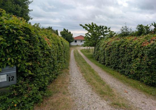 Image 27
