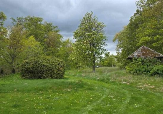 Image 21