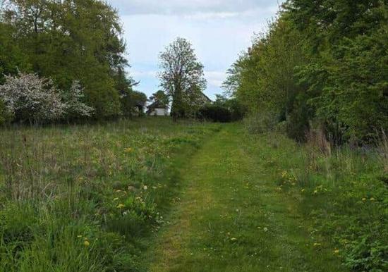 Image 23