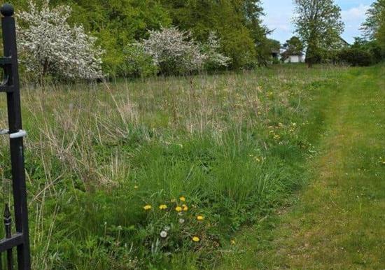 Image 24