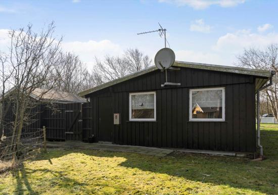 Image 21