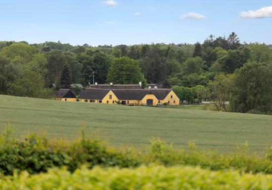 Image 26