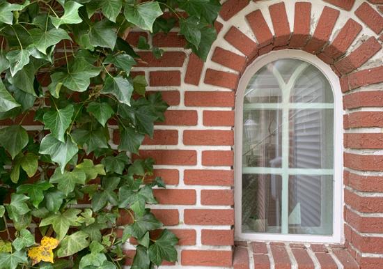Image 56