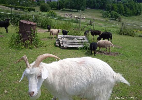 Image 20