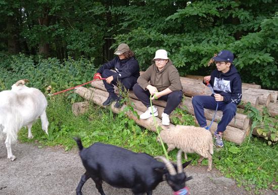 Image 29