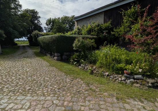 Image 21