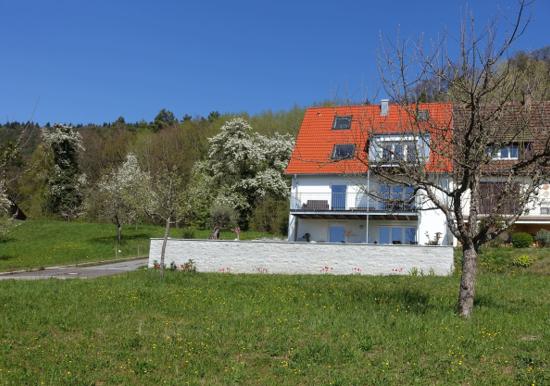 Image 15