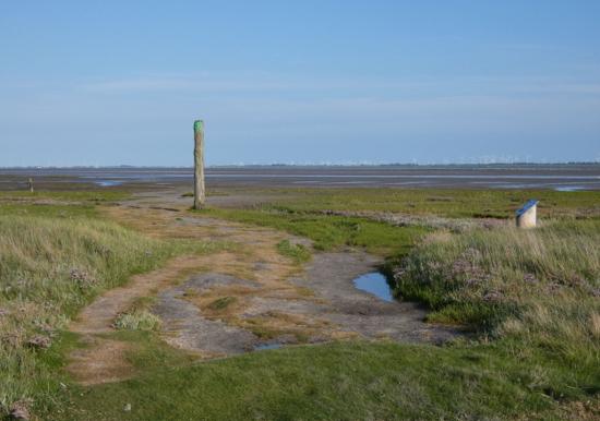 Image 31